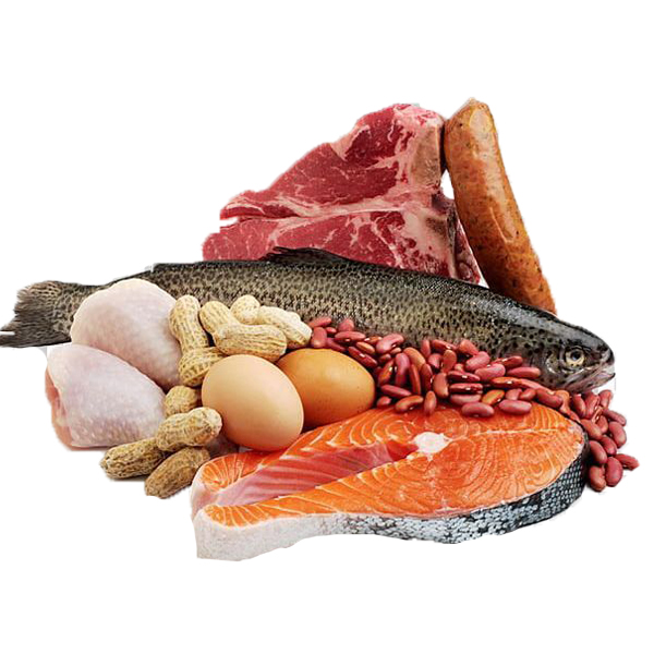 Meat & Fish